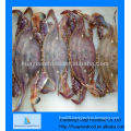 High quality frozen baby blue crabs